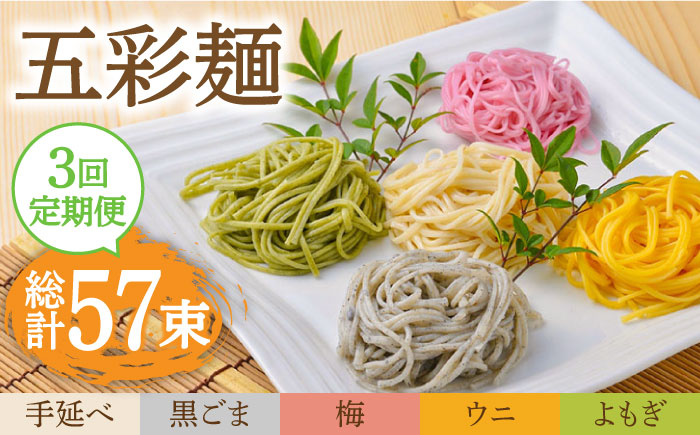 【3回定期便】五彩麺 セット 19束 / 黒ごま 梅 うに よもぎ / 麺 乾麺 食べ比べ 詰め合わせ カラフル / 南島原市 / のうち製麺 [SAF030]