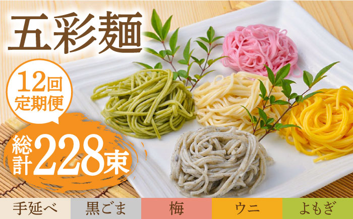 【12回定期便】五彩麺 セット（19束）/ 黒ごま 梅 うに よもぎ / 麺 乾麺 食べ比べ 詰め合わせ カラフル / 南島原市 / のうち製麺 [SAF032]
