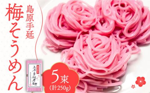 島原 手延 梅素麺 250g  / そうめん 南島原市 / 島原手延素麺組合連絡協議会 [SAN006]