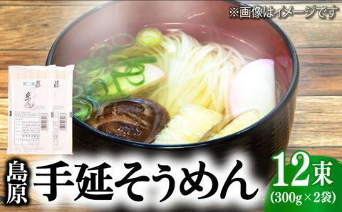 島原 手延 そうめん 600g（50g×6束 ）2袋  / 南島原市 / 本多兄弟商会 [SAU004]