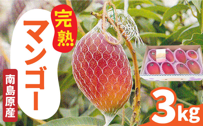 【2026年7月～発送】南島原産 完熟マンゴー 3kg / フルーツ 果物 完熟 期間限定 / 南島原市 / 松川農園 [SAX003]