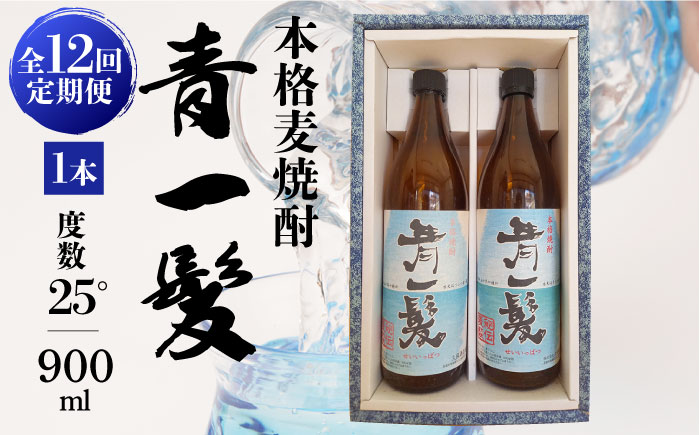【12回定期便】本格 麦焼酎 青一髪 25° 900ml×2本  / 麦焼酎 むぎじょうちゅう 焼酎 麦 しょうちゅう むぎ 酒 お酒 さけ ギフト プレゼント 贈り物 / 南島原市 / 久保酒造場 [SAY013]