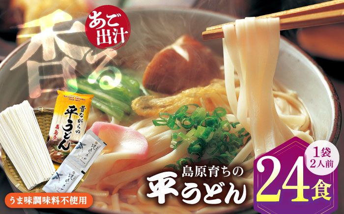 焼あご スープ と 島原育ちの 平うどん 24食 (2人前×12袋) / 手延べうどん うどん ウドン 饂飩 麺 めん 乾麺 / 南島原市 / こじま製麺 [SAZ026]