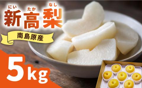 【2026年9月中旬～発送】【シャリッと食感がたまらない！】新高梨 5kg （玉数おまかせ） / 南島原市 / ふるさと企画 [SBA012]