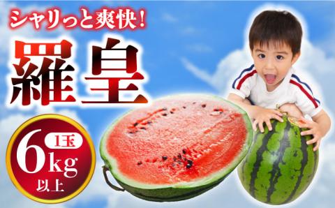 【2025年5月下旬～発送】【大玉】 スイカ 羅皇 (ラオウ) 1玉 / 果物 フルーツ らおう / 南島原市 / ふるさと企画 [SBA013]