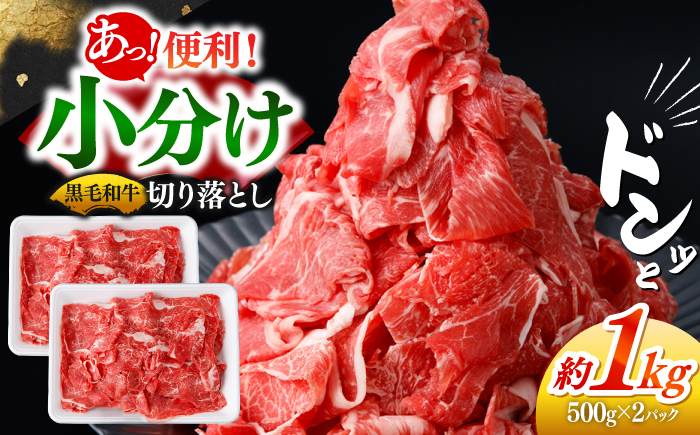 国産 黒毛和牛 熟成肉 切り落とし計1kg（500g×2パック）/ 小分け 国産牛 お肉 牛肉 切落し 冷凍 焼肉 すき焼き / 南島原市 / ふるさと企画 [SBA093]