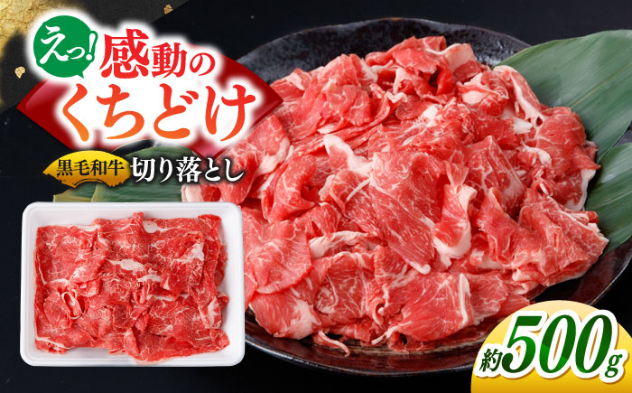 【2026年1月～順次発送】国産 黒毛和牛 熟成肉 切り落とし 500g / 小分け 国産牛 お肉 牛肉 切落し 冷凍 焼肉 すき焼き / 南島原市 / ふるさと企画 [SBA094]