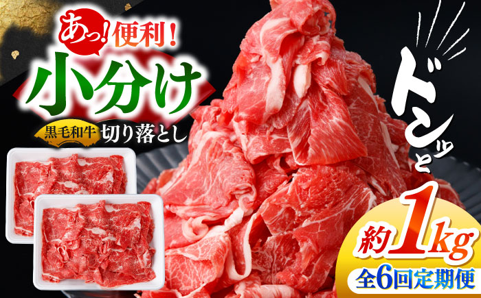 【6回定期便】国産 黒毛和牛 熟成肉 切り落とし計1kg（500g×2パック）/ 小分け 国産牛 お肉 牛肉 切落し 冷凍 焼肉 すき焼き / 南島原市 / ふるさと企画 [SBA096]