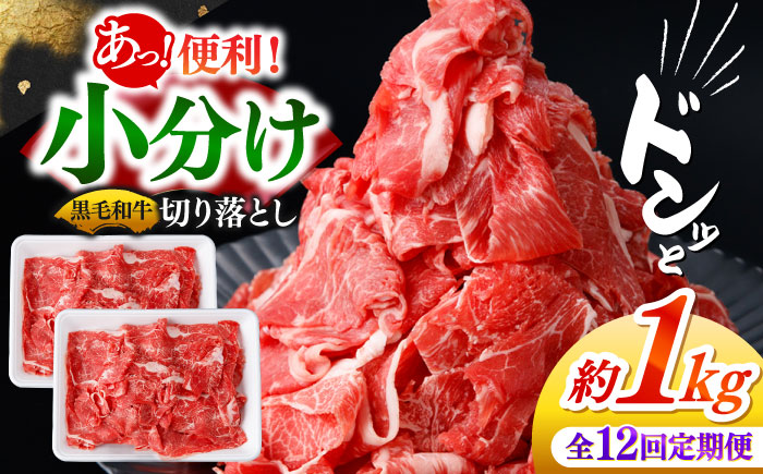 【12回定期便】国産 黒毛和牛 熟成肉 切り落とし計1kg（500g×2パック）/ 小分け 国産牛 お肉 牛肉 切落し 冷凍 焼肉 すき焼き / 南島原市 / ふるさと企画 [SBA097]