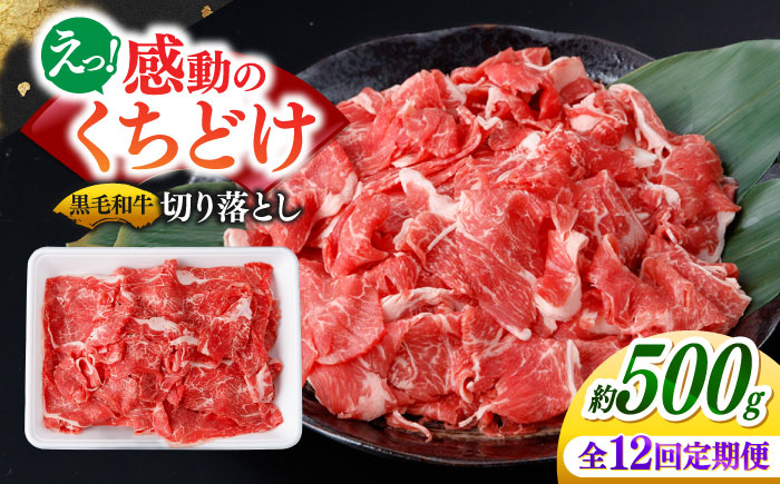 【12回定期便】国産 黒毛和牛 熟成肉 切り落とし 500g / 小分け 国産牛 お肉 牛肉 切落し 冷凍 焼肉 すき焼き / 南島原市 / ふるさと企画 [SBA099]