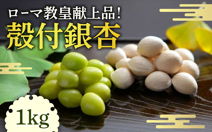 殻付 銀杏 1kg / 冷凍 野菜 南島原市 / セミナリヨの丘銀杏畑 [SBC001]