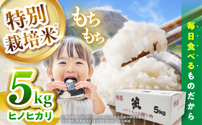 【令和7年産新米】【特別栽培米】 ヒノヒカリ 5kg / 米 精米 白米 ごはん ご飯 ひのひかり / 南島原市 / 農家民宿　いちご一会 [SBN001]