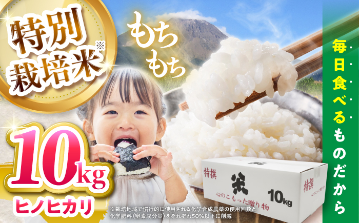 【令和7年産新米】【特別栽培米】 ヒノヒカリ 10kg (5kg×2袋) / 米 精米 白米 ごはん ご飯 ひのひかり / 南島原市 / 農家民宿　いちご一会 [SBN002]