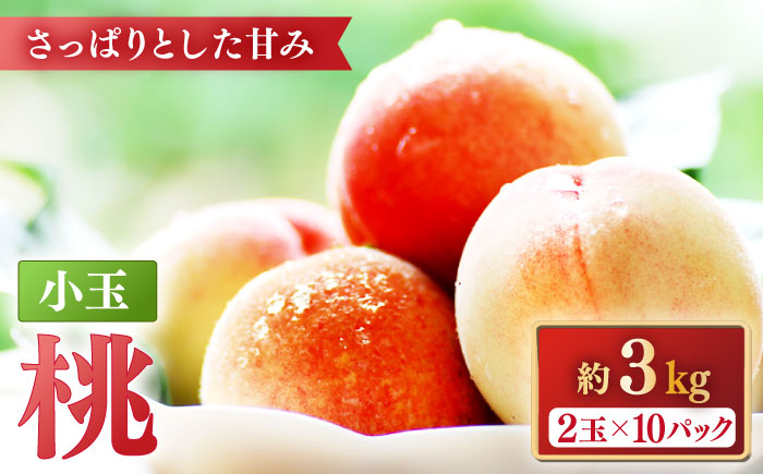 【2026年5月下旬～発送】特別栽培 小玉 ハウスもも（Mサイズ：10パック） / フルーツ 果物 旬 / 南島原市 / ふくはちファーム/福島農園 [SBS008]