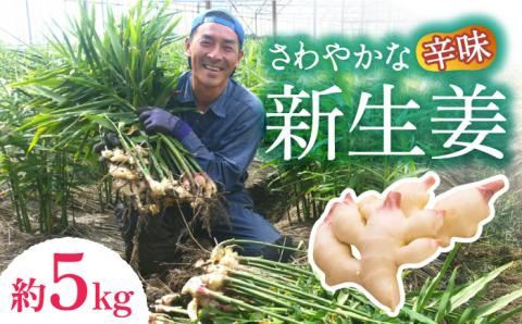 【2026年8月～発送】新生姜 約5kg / ショウガ しょうが 生姜 / 南島原市 / ふくはちファーム / 福島農園 [SBS019]