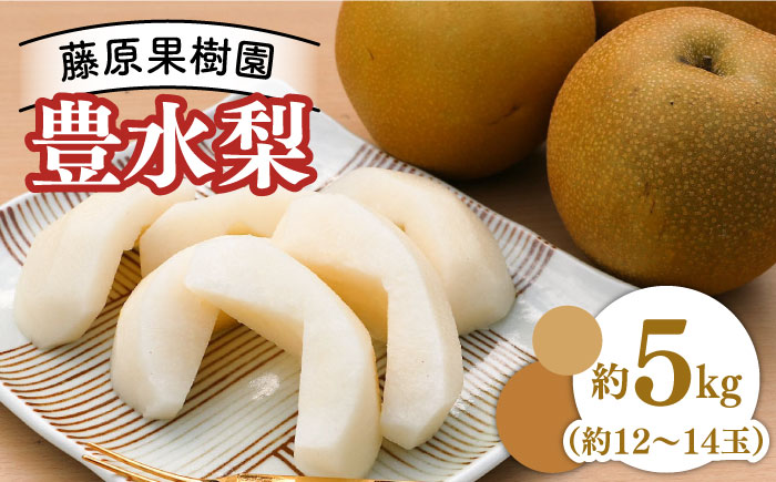 【2024年8月～発送】【甘味の中にほのかな酸味！】豊水梨 約5kg (約12玉～14玉)  / フルーツ 果物 デザート 産地直送 期間限定 / 南島原市 / 藤原果樹園 [SBV002]