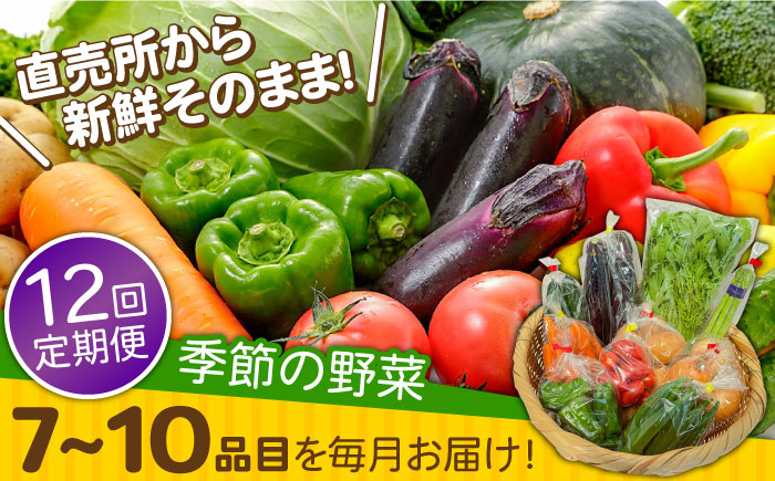 【12回定期便】直売所より発送！季節の野菜セット 7～10品目 / 野菜定期便 野菜 やさい 旬 詰め合わせ / 南島原市 / ながさき南部生産組合 [SBW005]