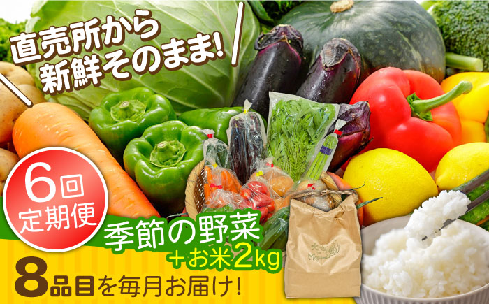 【6回定期便】直売所より発送！お米と季節の野菜セット 8品目 / 米 こめ 白米 野菜定期便 野菜 やさい 旬 詰め合わせ / 南島原市 / ながさき南部生産組合 [SBW014]