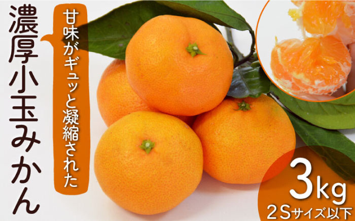 【2026年10月下旬～発送】【甘味が凝縮！】 濃厚 小玉みかん 3kg 温州みかん 2Sサイズ以下 / みかん 小玉 フルーツ 果物 くだもの 柑橘 蜜柑 ミカン / 南島原市 / 長崎県農産品流通合同会社 [SCB057]