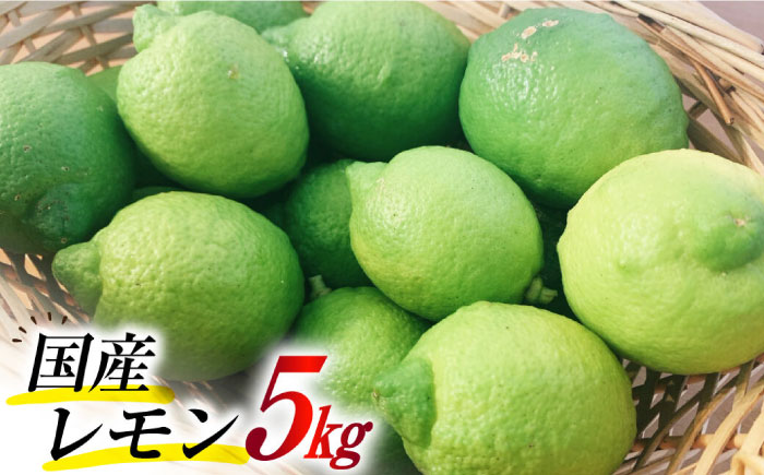 【2025年8月下旬～発送】国産レモン 璃の香（りのか）5kg  / 国産 柑橘 / 南島原市 / 長崎県農産品流通合同会社 [SCB079]