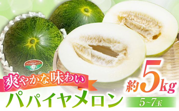 【2026年4月中旬〜発送】パパイヤメロン 約5kg（約5～7玉）/ 果物 フルーツ / 南島原市 / 長崎県農産品流通合同会社 [SCB086]