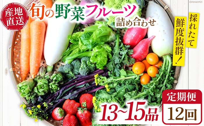 【12回定期便】　「旬の野菜・フルーツ」 詰め合わせ セット（13品～15品）/ 野菜 定期便 やさい 定期便 野菜セット やさいセット 春野菜 夏野菜 秋野菜 冬野菜 旬新鮮 / 南島原市 /長崎県農産品流通合同会社 [SCB093]