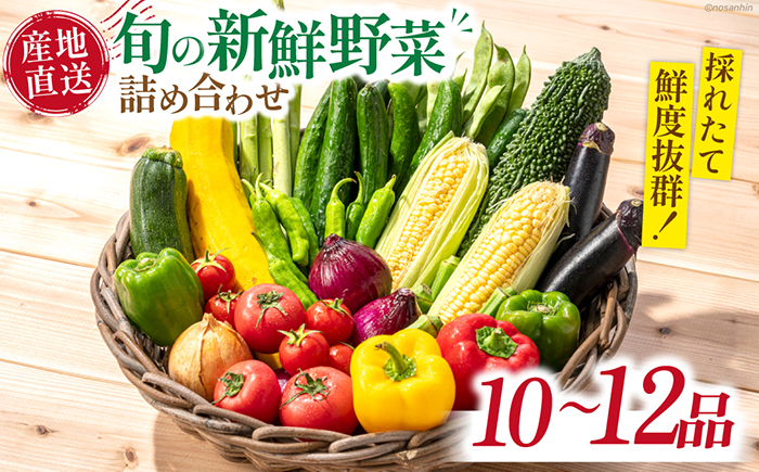 旬の新鮮 野菜詰め合わせセット（10品～12品）/ 野菜 やさい 野菜セット やさいセット 春野菜 夏野菜 秋野菜 冬野菜 旬新鮮 / 南島原市 /長崎県農産品流通合同会社[SCB094]