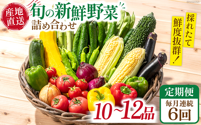 【6回定期便】毎月連続 旬の新鮮 野菜詰め合わせセット（10品～12品）/ 野菜 定期便 やさい 定期便 野菜セット やさいセット 春野菜 夏野菜 秋野菜 冬野菜 旬新鮮 / 南島原市 /長崎県農産品流通合同会社[SCB095]