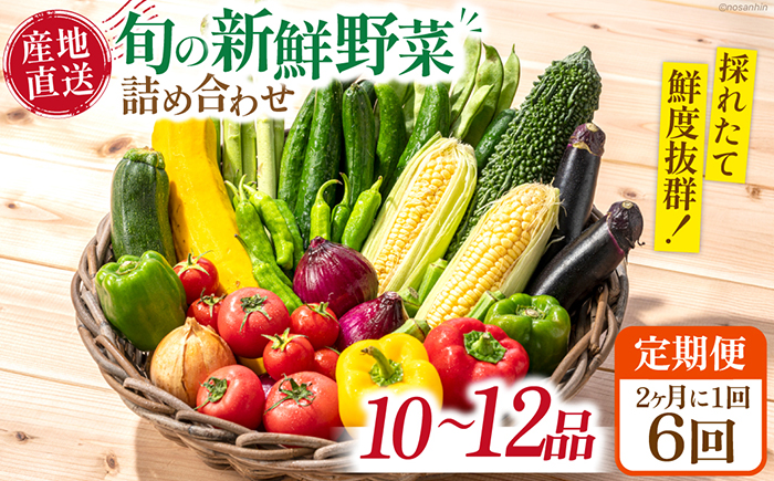 【6回定期便】2ヵ月に1回 旬の新鮮 野菜詰め合わせセット（10品～12品）/ 野菜 定期便 やさい 定期便 野菜セット やさいセット 春野菜 夏野菜 秋野菜 冬野菜 旬新鮮 / 南島原市 /長崎県農産品流通合同会社[SCB096]