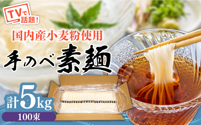 【手のべ陣川】熟成麺 島原 手延べ そうめん 5kg / L-100 / 化粧箱 手延べ 麺 / 南島原市 / ながいけ [SCH026]