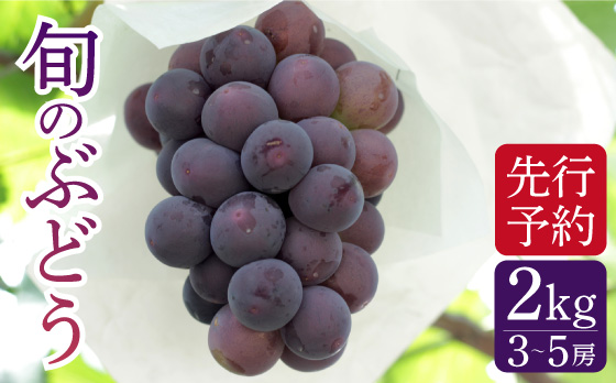 【2026年7月～発送】【採れたてをお届け！】旬のぶどう ＜ブラックビートor巨峰orピオーネ＞ 合計2kg / フルーツ ふるーつ 果物 /  南島原市 / ながいけ [SCH037]