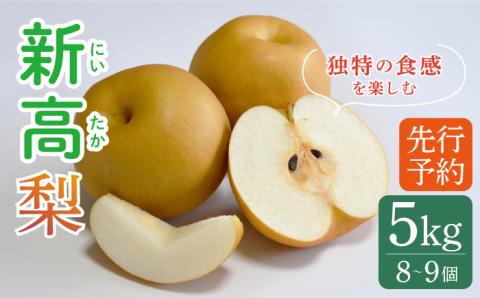 【2026年9月～発送】【南島原産】新高 梨（8個から9個） / 南島原市 / ながいけ [SCH039]