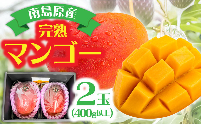 【2026年7月～発送】南島原産完熟マンゴー２玉 / フルーツ ふるーつ 果物 くだもの / 南島原市 / ながいけ [SCH064]