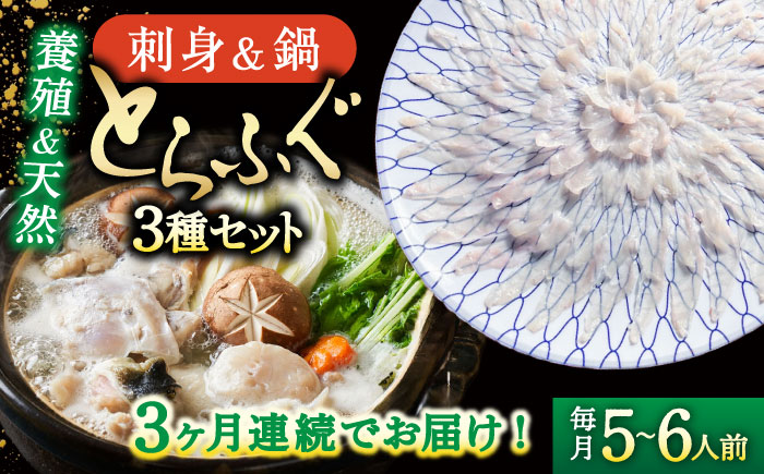 【2027年2月～初回発送】【3回定期便】南島原ふぐ三昧コース ５～6人前 / ふぐ フグ 河豚 トラフグ ふぐ刺し / 南島原市 / 大和庵 [SCJ032]