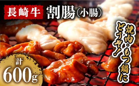 長崎牛 割腸（小腸） 焼肉・ホルモン鍋 用 600g  / 焼肉 もつ鍋 モツ もつ 小腸 ホルモン 牛モツ / 南島原市 / はなぶさ [SCN060]