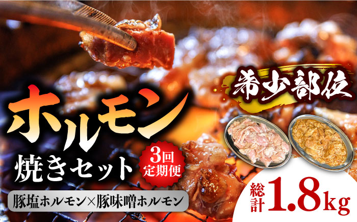 【3回 定期便 】ホルモン 塩焼き・ニンニク味噌焼きセット 総計1.8kg / ほるもん 肉 豚肉 直腸 豚テッポウ 希少部位 国産 / 南島原市 / はなぶさ [SCN137]