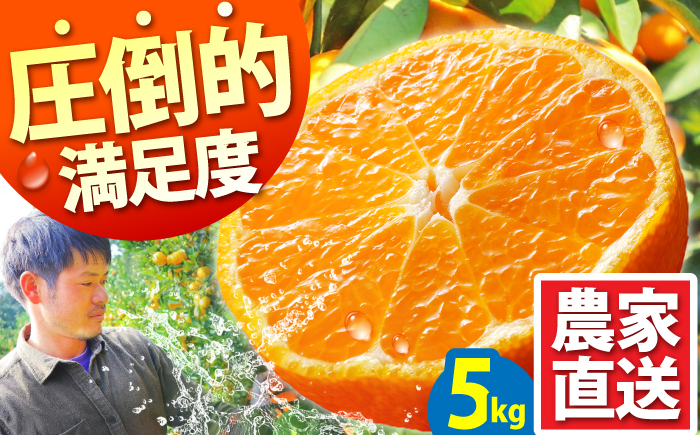 ふるさと納税 長崎県 南島原市  温州みかん 約5kg（傷もの） ／ みかん 南島原市 ／ 南島原果物屋 [SCV018] 2025年11月下旬〜発送高糖度 温州みかん 約5kg（傷もの
