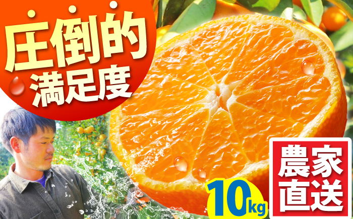 【2025年10月下旬～発送】温州みかん 10kg / フルーツ 果物 / 南島原市 / 蜜柑屋まつお [SCQ002]