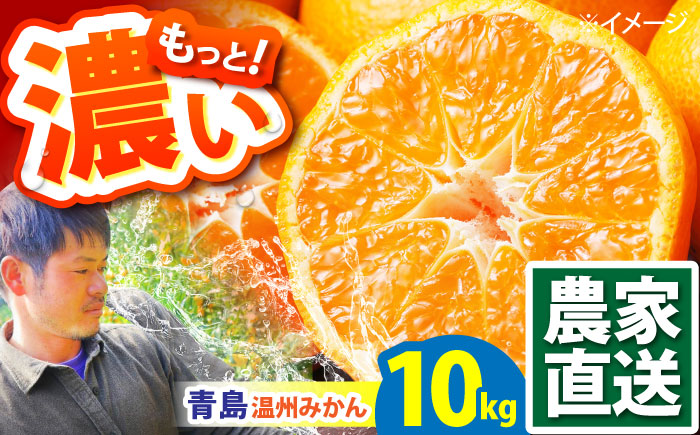 【2027年1月～発送】青島 温州みかん 10kg / みかん ミカン 蜜柑 甘い フルーツ 果物 / 南島原市 / 蜜柑屋まつお [SCQ003]