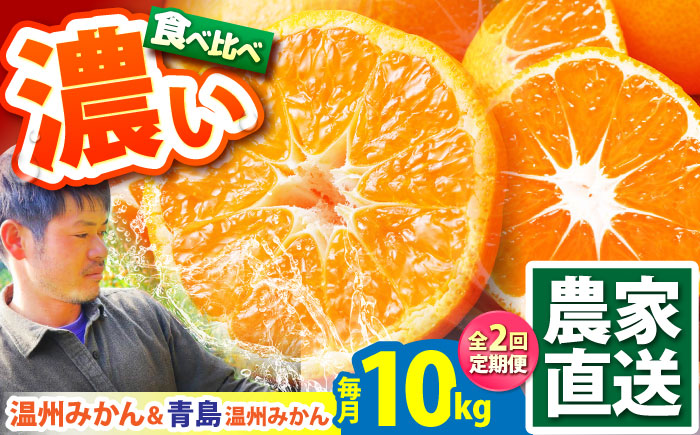 【2026年10月下旬～発送】【2回定期便】温州みかん 食べ比べ 10kg×2回 / みかん 青島みかん ミカン 蜜柑 甘い フルーツ 果物 / 南島原市 / 蜜柑屋まつお [SCQ004]