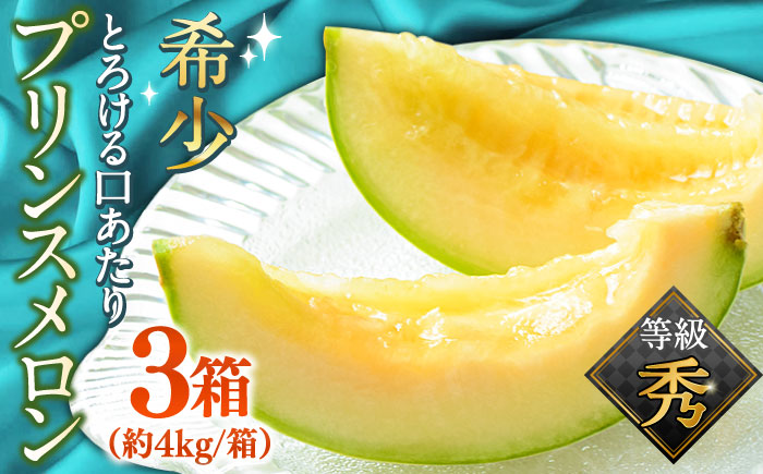 【2026年4月下旬～発送】【根強い人気！】 プリンスメロン 3箱 セット（1箱 7～13玉）  / 南島原市 / 南島原果物屋 [SCV007]