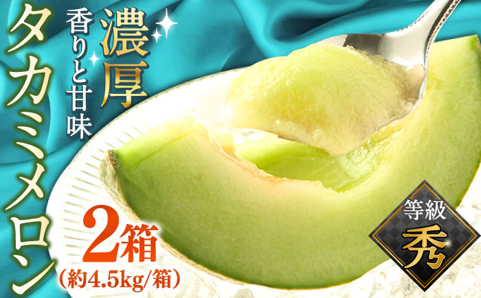 【2026年5月～発送】【さわやかな味！ 】タカミメロン 2箱セット （1箱 3～6玉）/ メロン 南島原市 / 南島原果物屋 [SCV009]