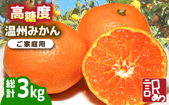【2025年11月下旬～発送】【高糖度】訳あり 温州みかん 約3kg（傷もの）/ みかん ミカン 蜜柑 果物 フルーツ / 南島原市 / 南島原果物屋 [SCV022]