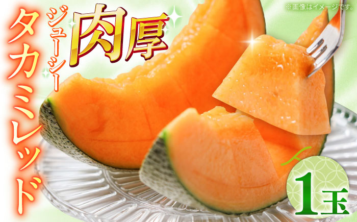 【2026年5月～発送】タカミメロン レッド 1玉 / メロン めろん フルーツ 果物 / 南島原市 / 南島原果物屋 [SCV029]