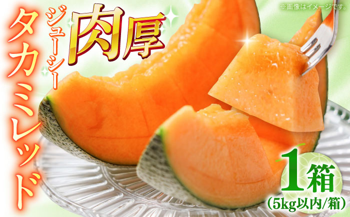 【2026年5月～発送】タカミメロン レッド 1箱 5kg以内（3～6玉） / メロン めろん フルーツ 果物 / 南島原市 / 南島原果物屋 [SCV031]