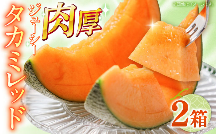 【2026年5月～発送】タカミメロン レッド 2箱 （1箱 3～6玉）/ メロン めろん フルーツ 果物 / 南島原市 / 南島原果物屋 [SCV032]