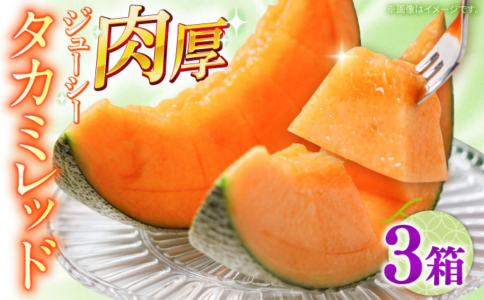 【2026年5月～発送】タカミメロン レッド 3箱 （1箱 3～6玉）/ メロン めろん フルーツ 果物 / 南島原市 / 南島原果物屋 [SCV033]