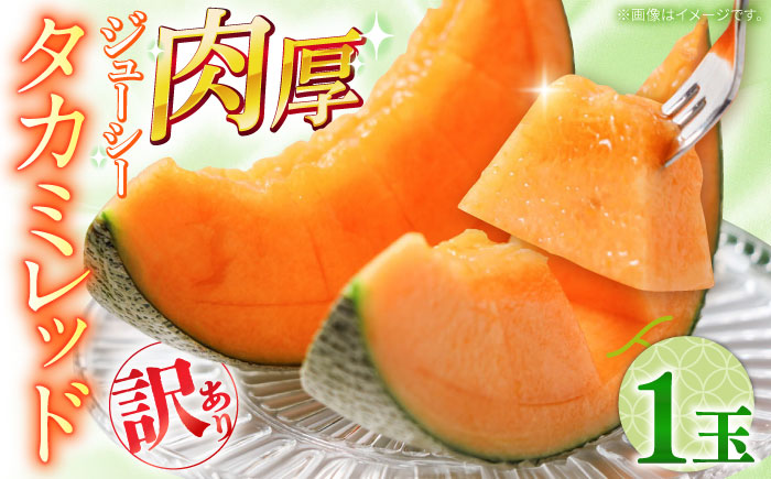 【2026年5月～発送】訳あり タカミメロン レッド 1玉 / メロン めろん フルーツ 果物 / 南島原市 / 南島原果物屋 [SCV034]