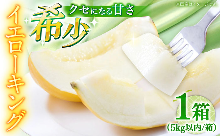 【2026年5月～発送】メロン イエローキング 1箱 5kg以内 （3～6玉）/ メロン めろん フルーツ 果物 / 南島原市 / 南島原果物屋 [SCV039]