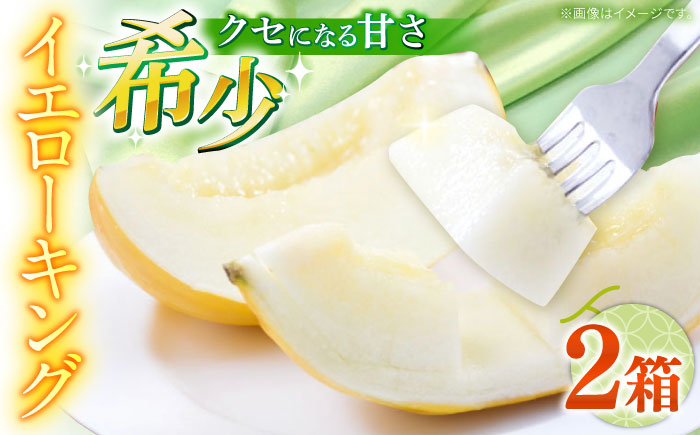 【2026年5月～発送】メロン イエローキング 2箱 （1箱 3～6玉）/ メロン めろん フルーツ 果物 / 南島原市 / 南島原果物屋 [SCV040]